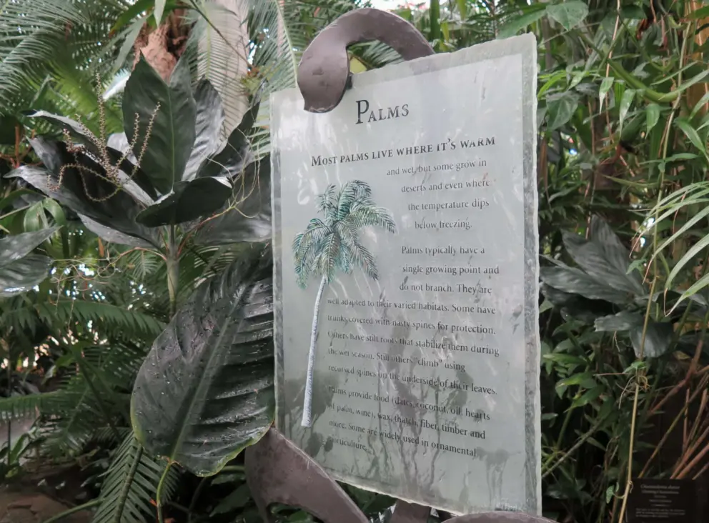 Another glass sign, about palms. 