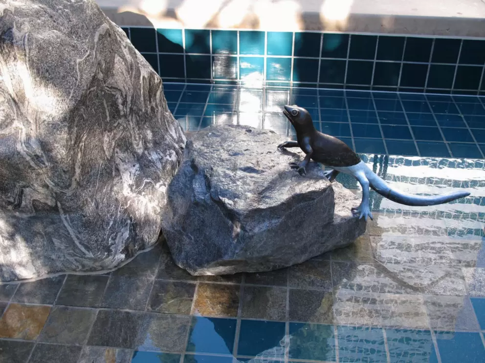 There's some strange sculptures in the pools outside Central Library.