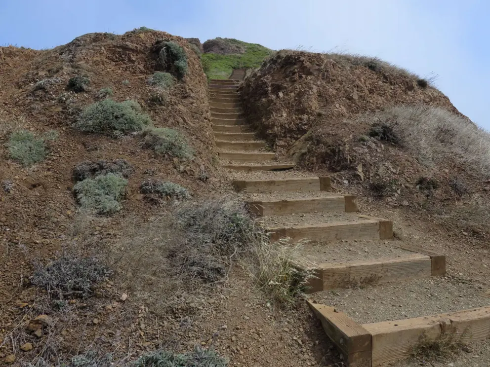 Steps to get even higher. 