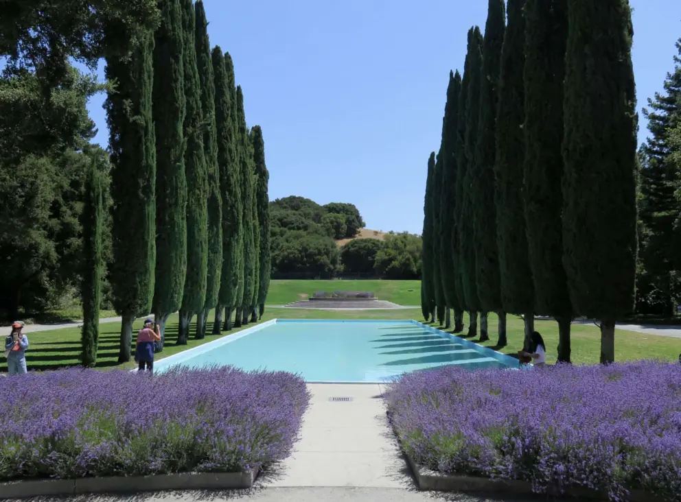 View of the pool with lavender beds in front. 