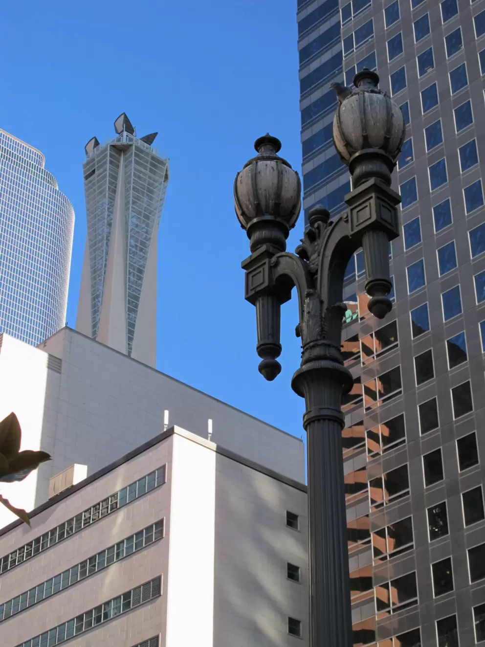 A varied skyline.