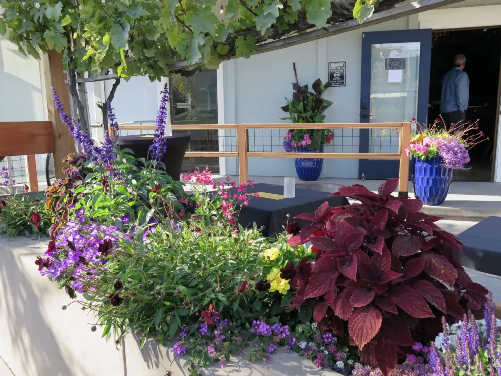 Flowers outside a winetasting room.