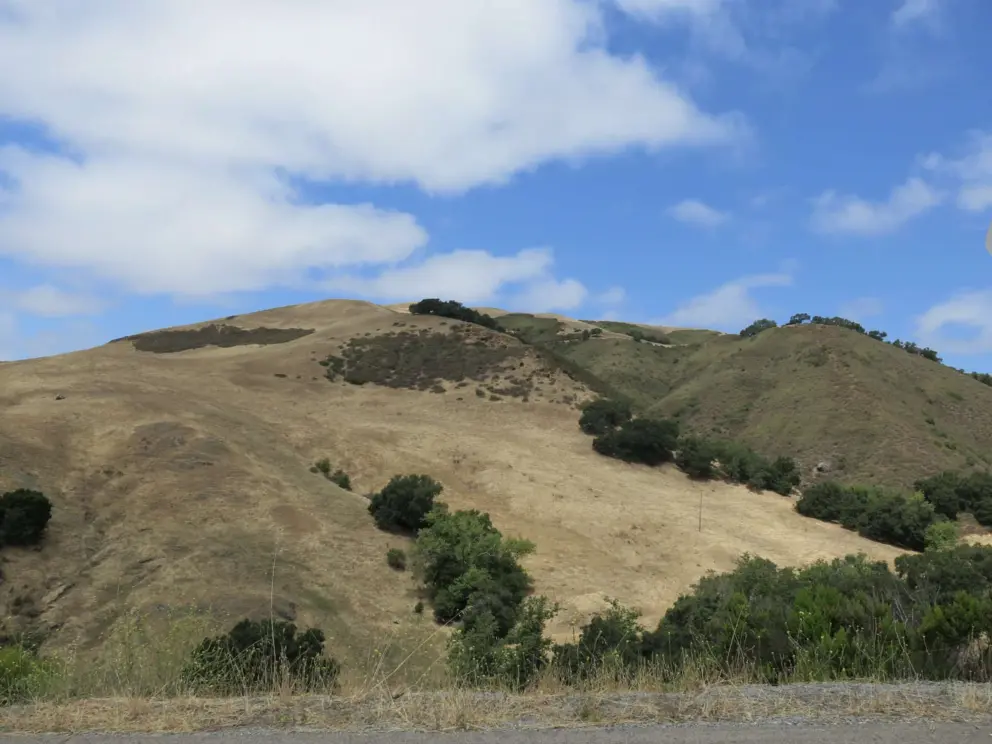 Golden hills and blue sky. 