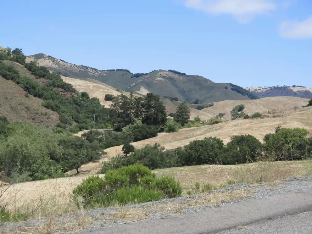 Looking back at the hills. 