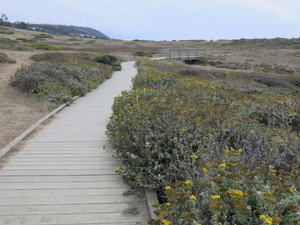 Flowers and a bridge along the path.