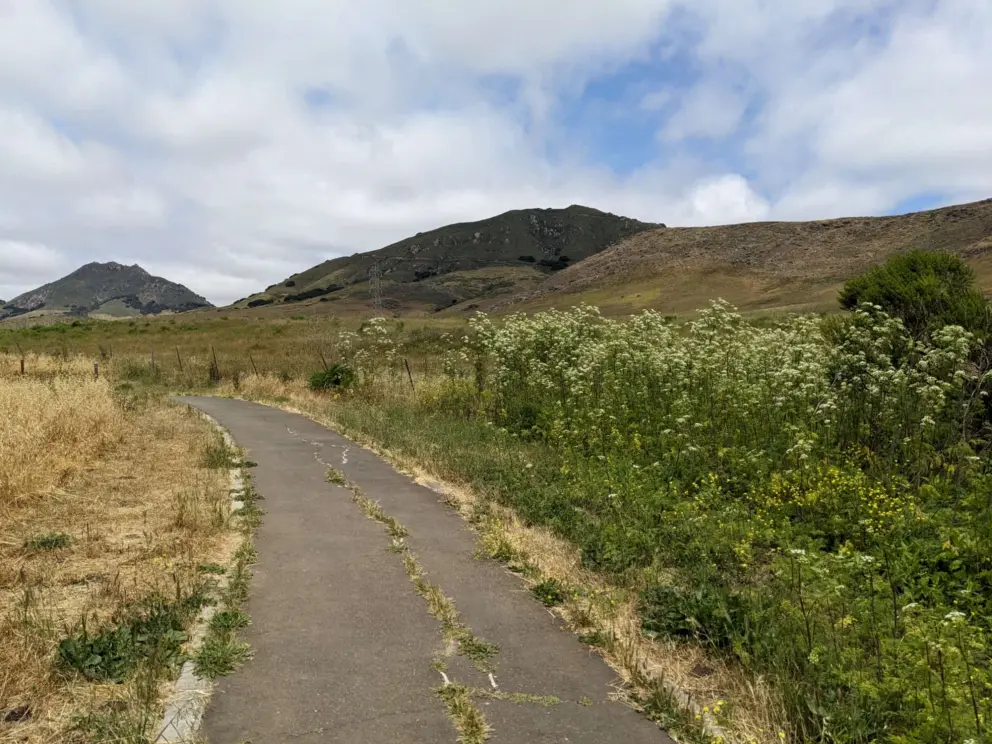 The loop trail has tall grasses running along it. Beware if you have allergies!