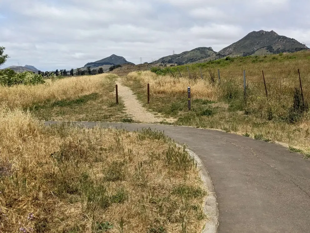 The morros are all lined up in a row!