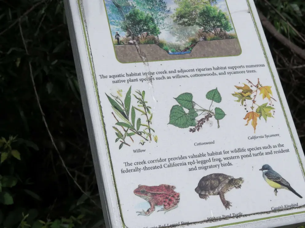 Information plaque on the walkway beside Agrarian Hotel: the creek supports willow trees, cottonwoods, sycamores, red-legged frogs, kingbirds, and pond turtles. 