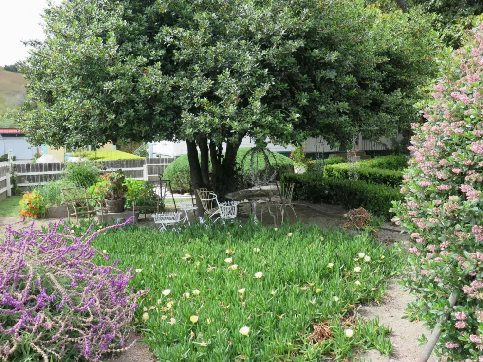 Garden sitting area outside a hotel on Branch Street. 