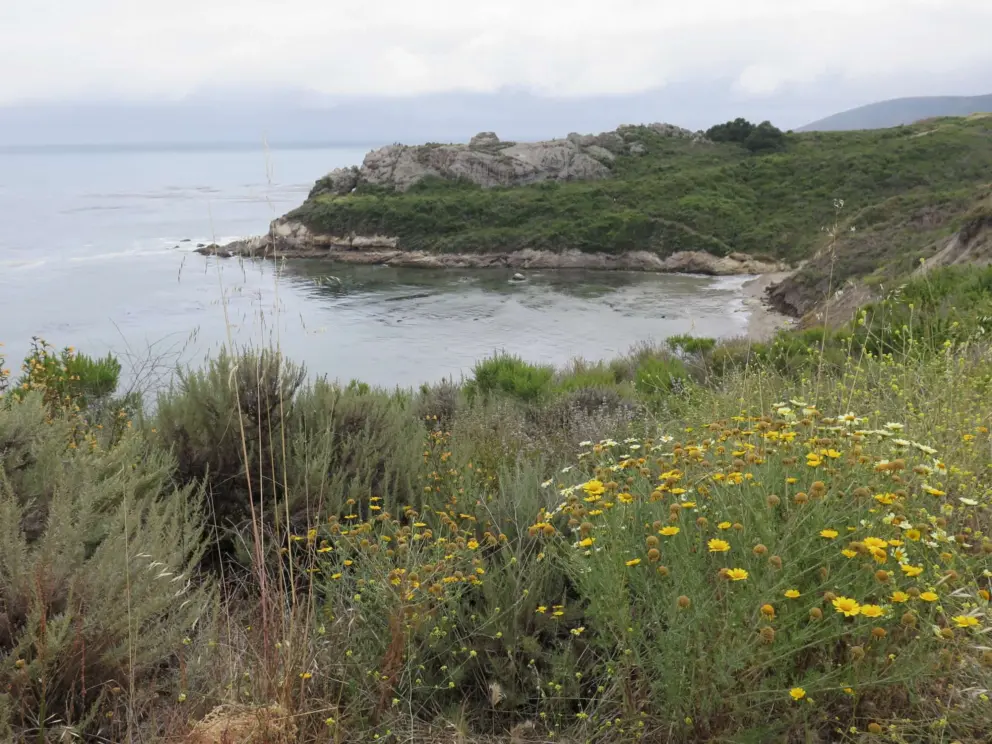 View of Pirates Cove Beach along the path.