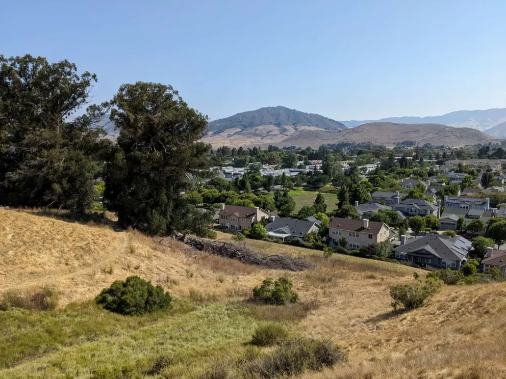 View from the trail, if you turn left at the start. 