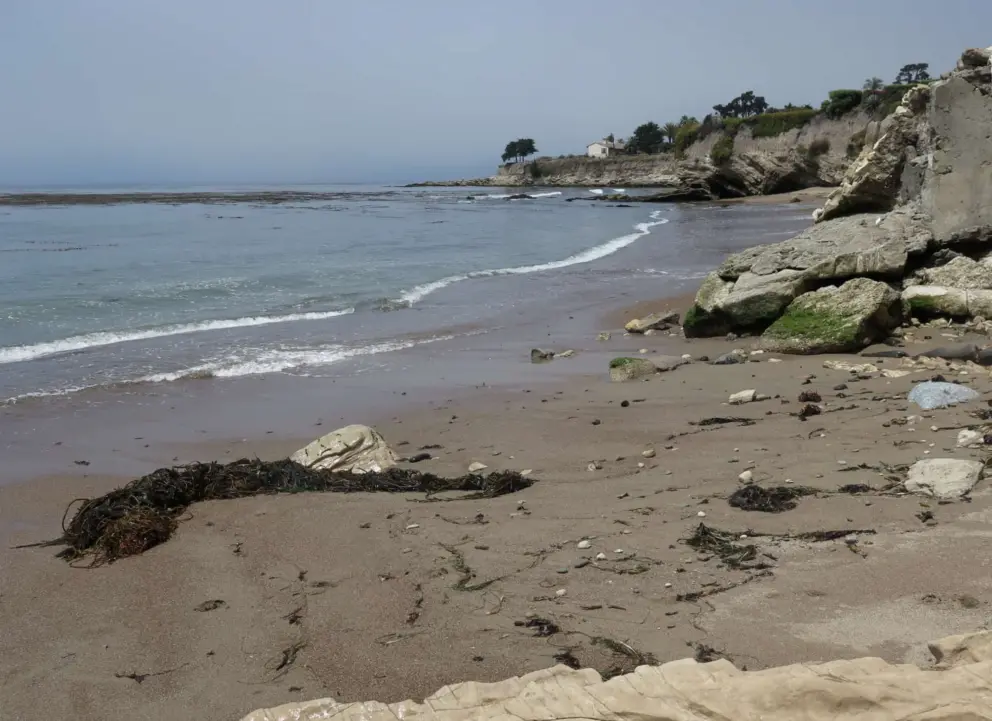 There are lots of things to explore at this beach. 