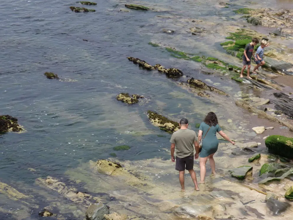 A family explores the tidepools. 
