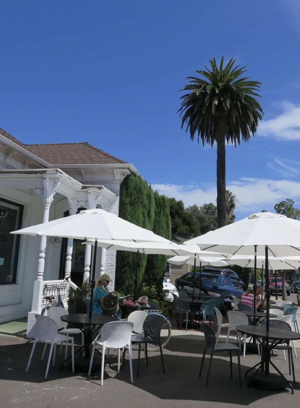 Canary palm and white umbrellas outside Panino.