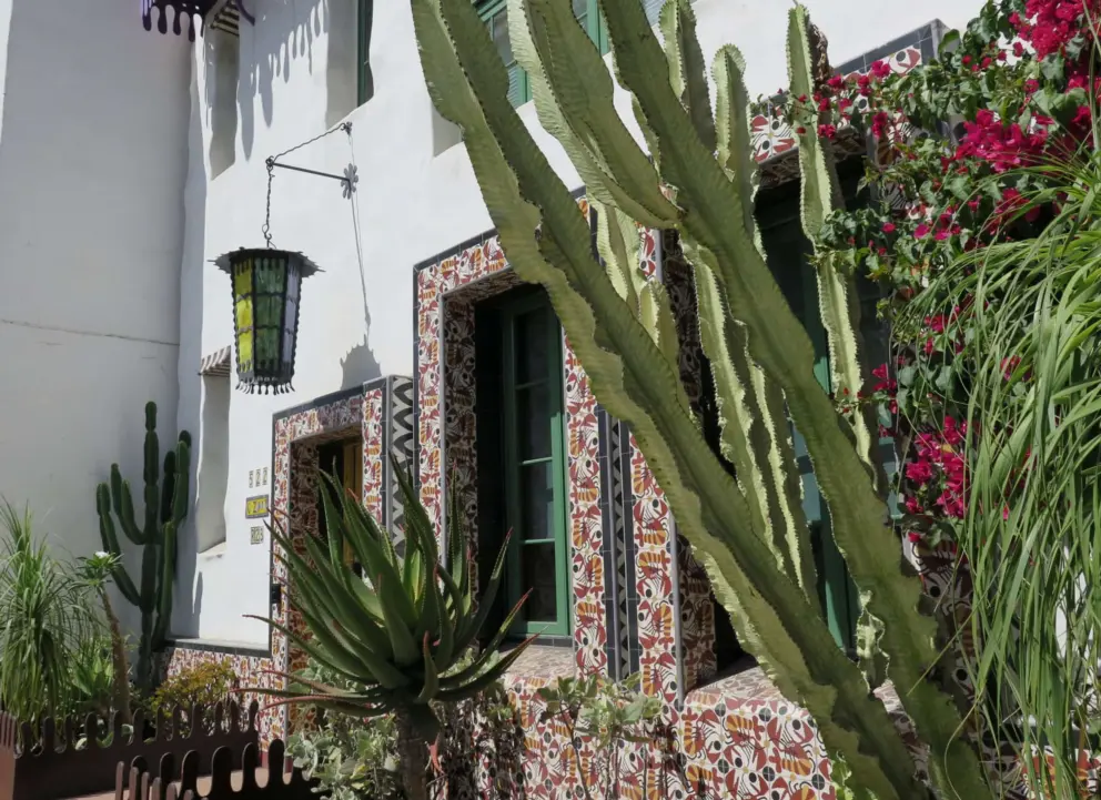Tilework, colorful lantern, and cactus at El Zapato.