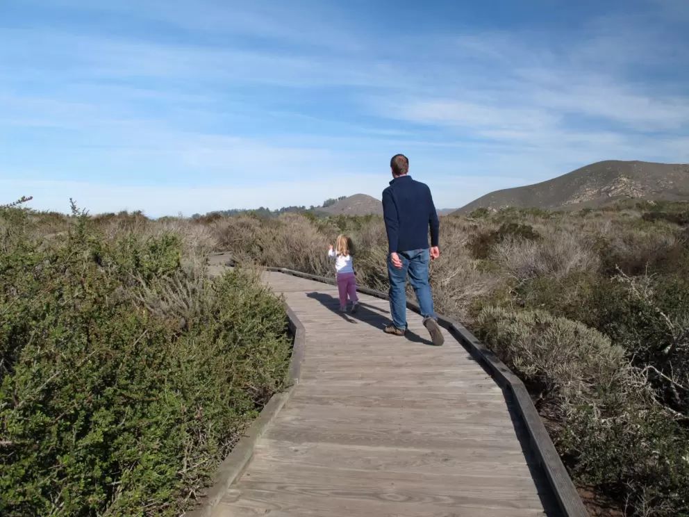 Getting some exercise on the wooden boardwalk.