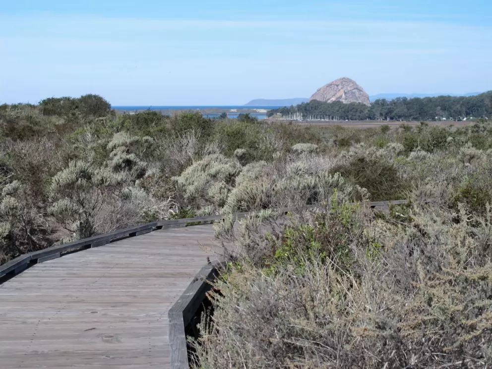 Round the bend and Morro Rock appears before your eyes!