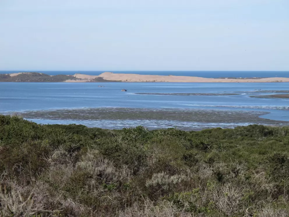 The luminescent waters of the bay.