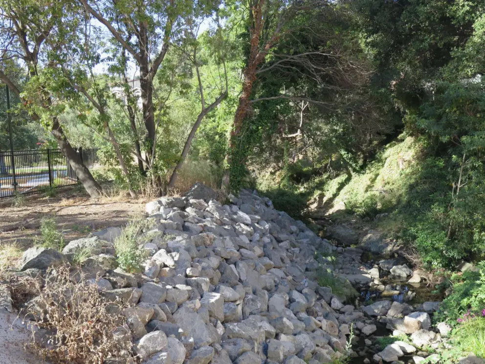 Creek at North Broad Street Neighborhood Park.