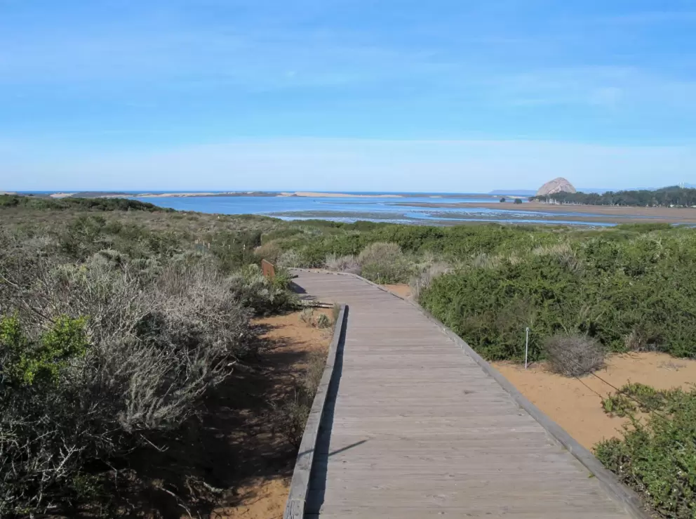 The path continues down.