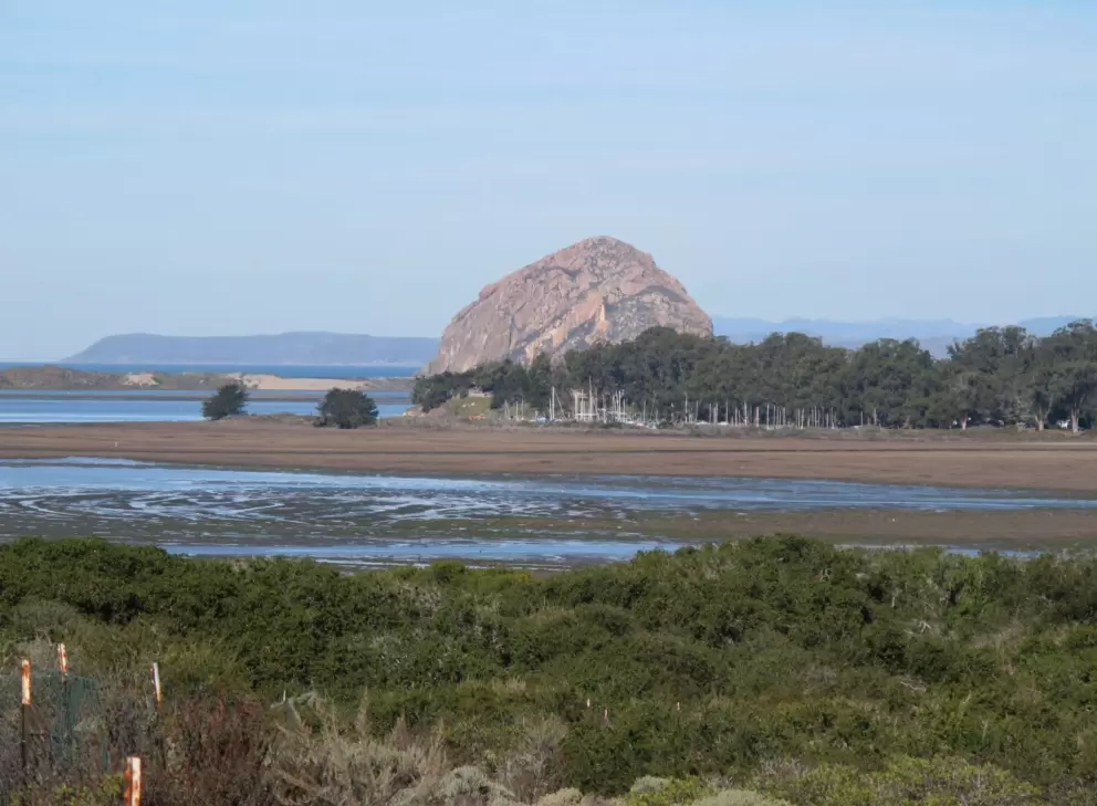 Close-up of Morro Rock, as seen from the Elfin Forest boardwalk.