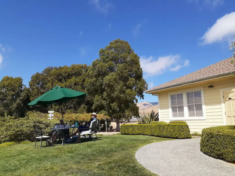 The lawn. 