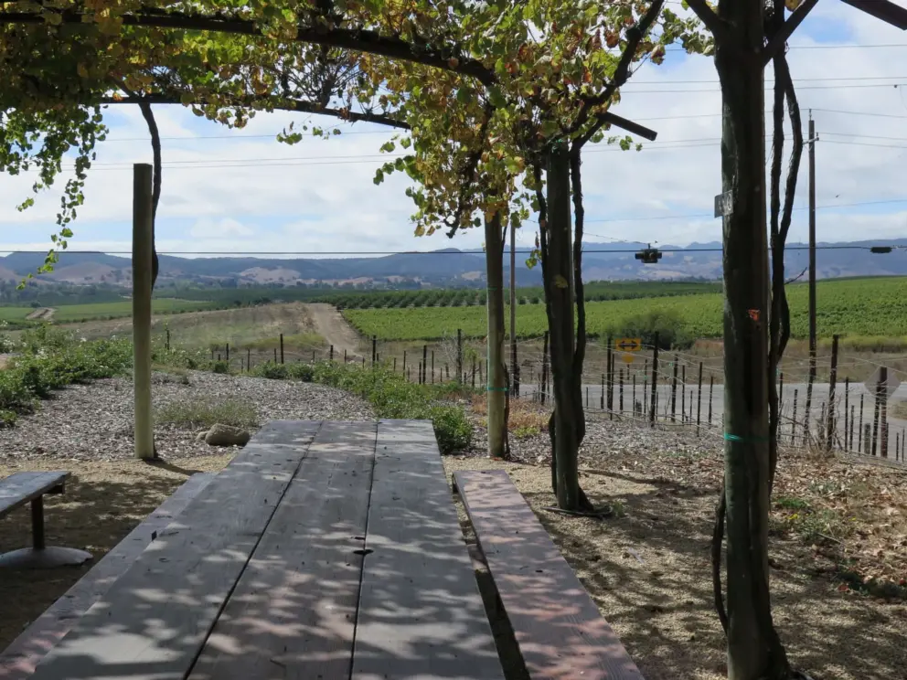 Looking toward vineyards from the picnic tables.