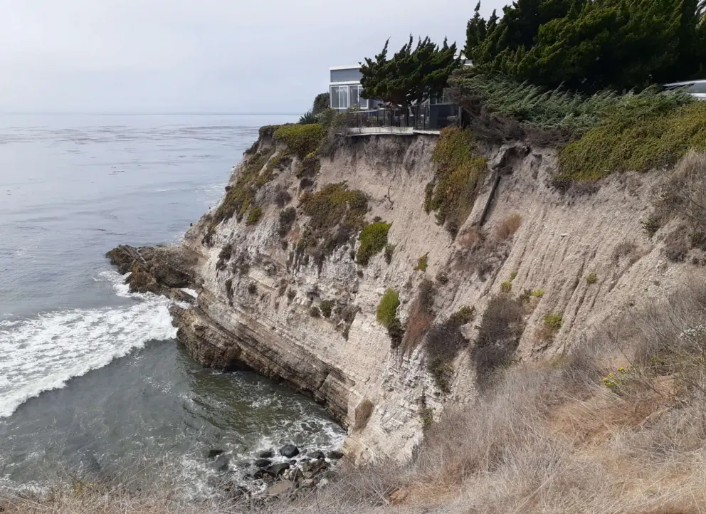 View from Memory Park of dark green cypress trees on the cliff. 
