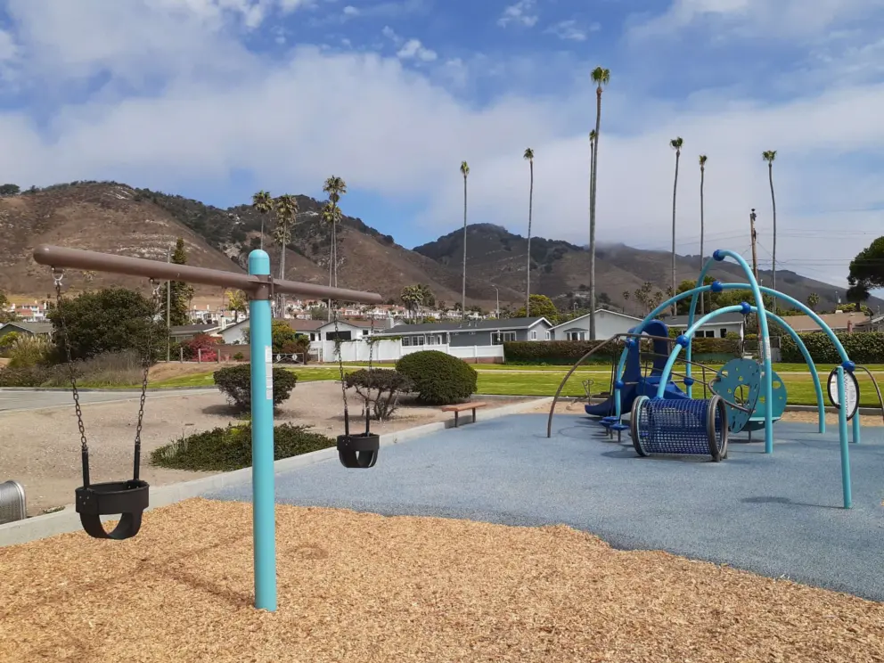 Baby swings, tunnel, and toddler playground.