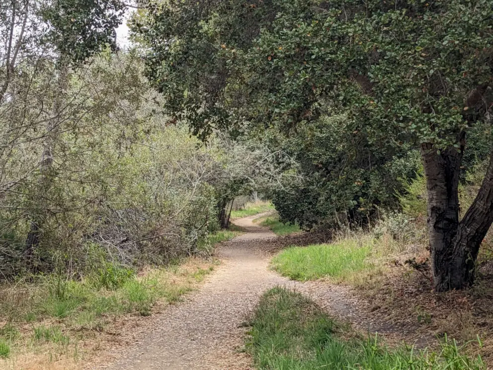 The beginning of the trail.