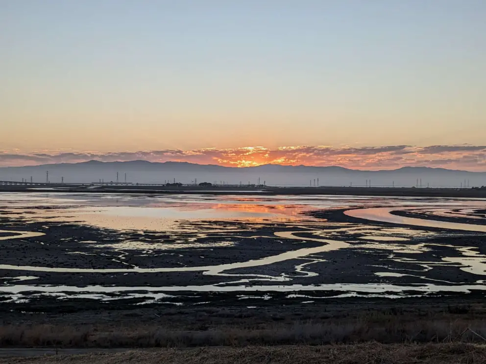 Salt marsh in morning light, seen from running trail at Bedwell Bayfront Park.