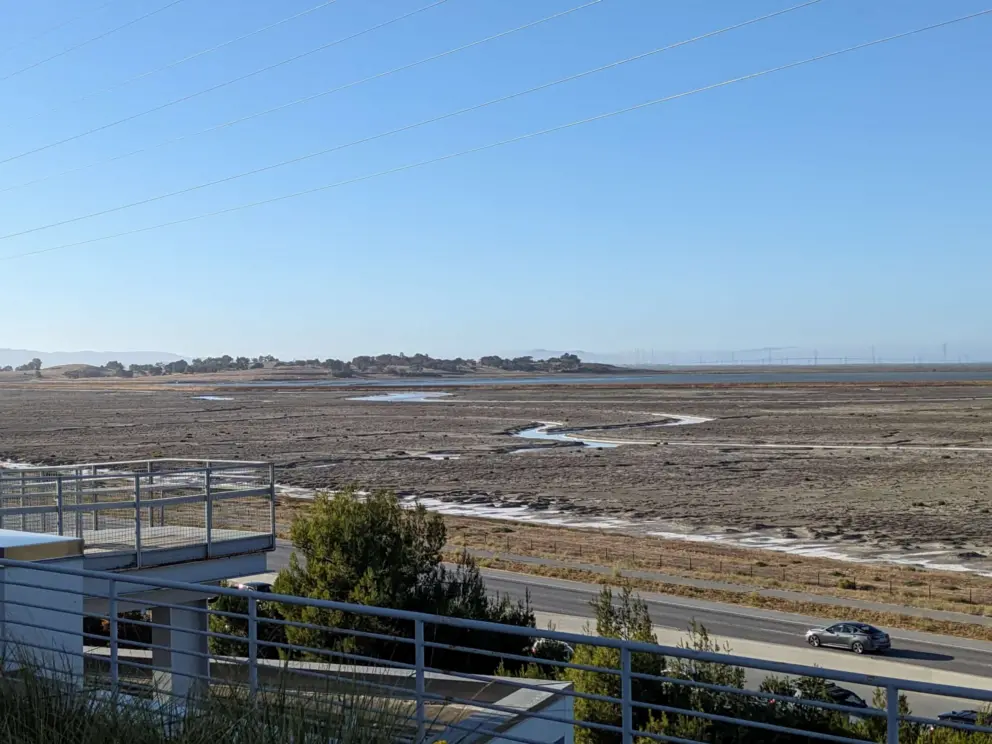 Lookout over salt marsh.