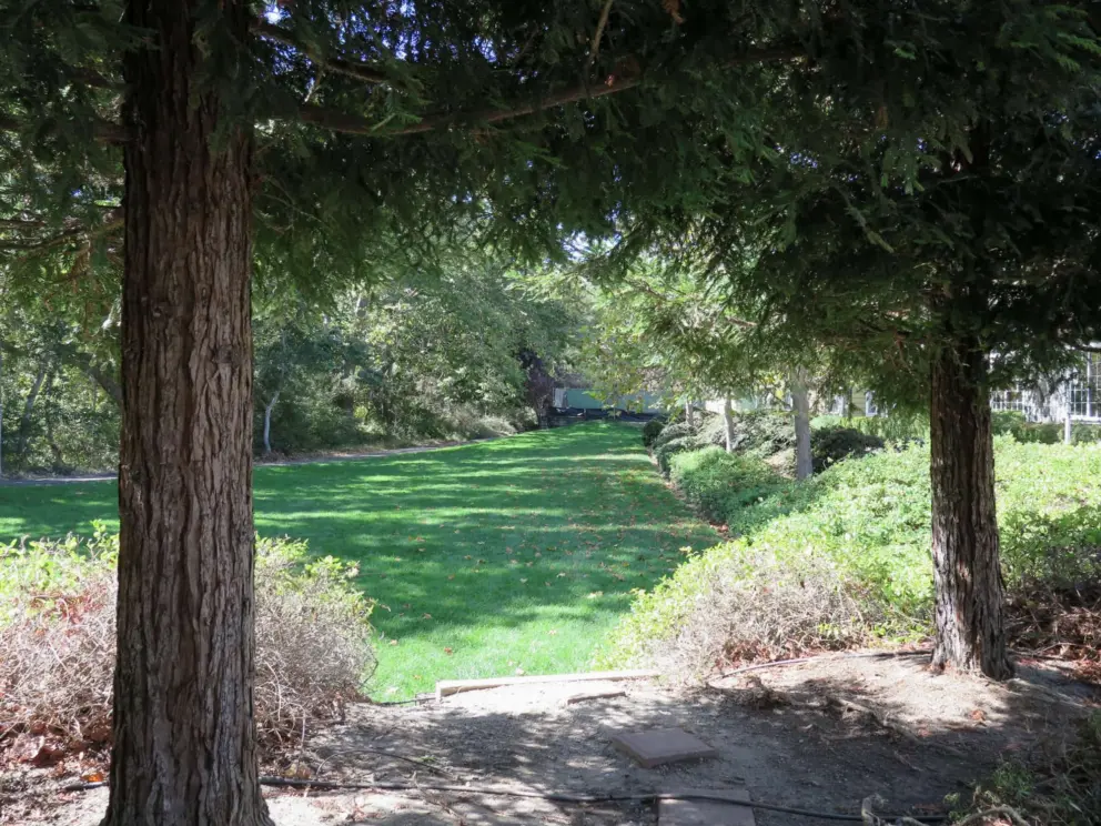 Shady lawn under redwood trees at Avila Village, a quiet shopping plaza along the trail.