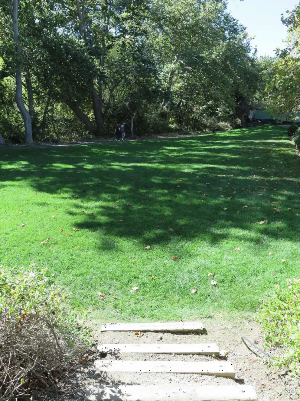 Shady lawn at Avila Village, along the trail.