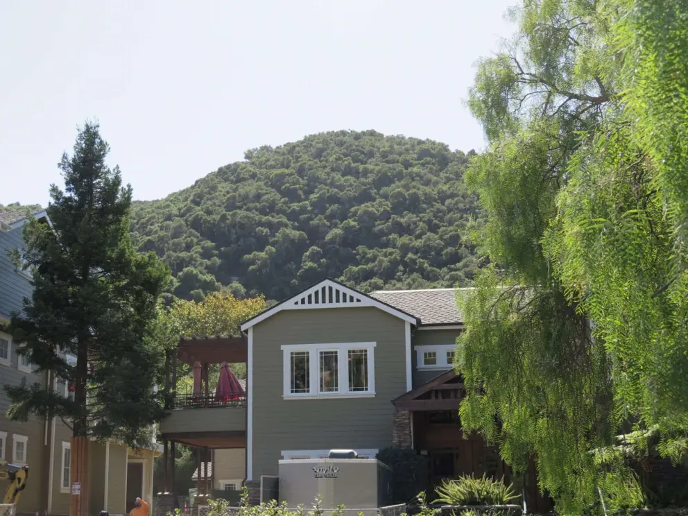 Oak-covered hills, as seen from Avila Village. 