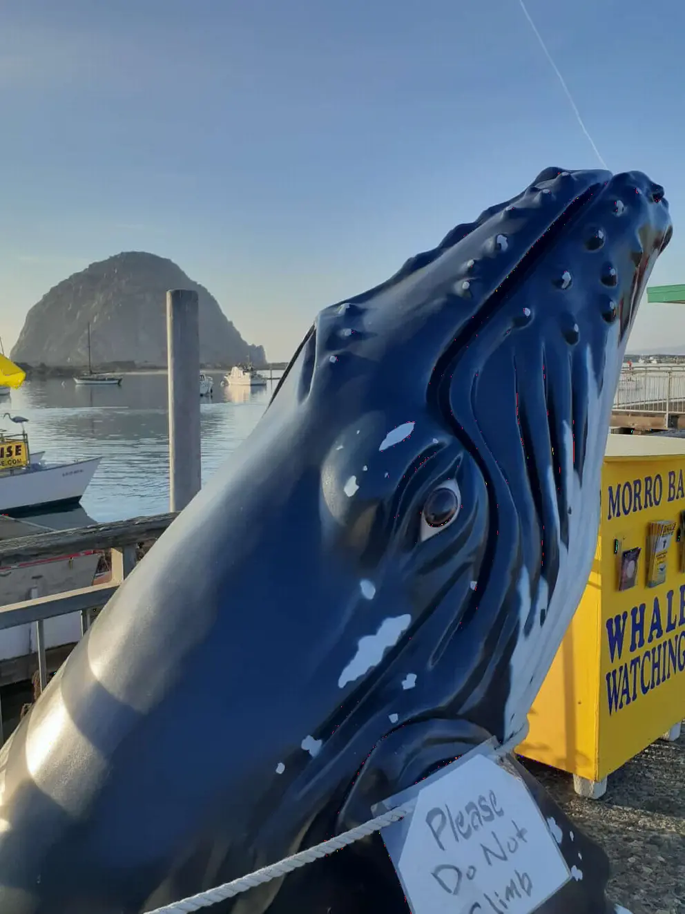 Whale watching departure point.