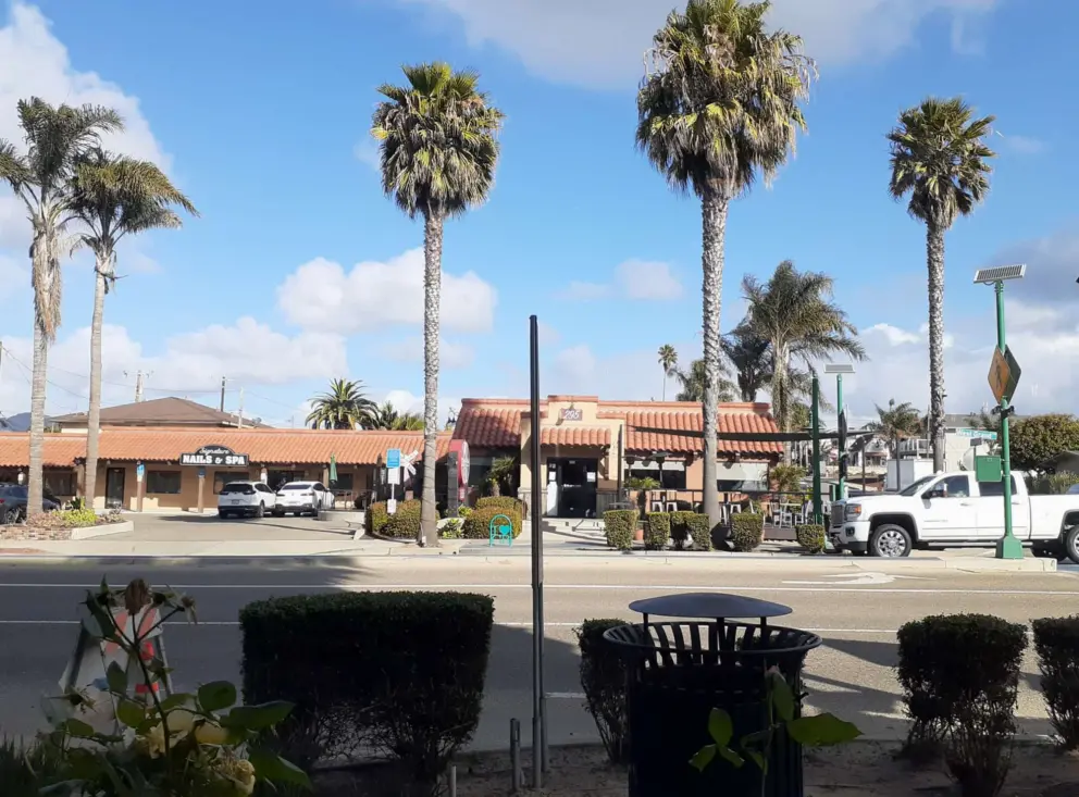 View from Red Bee Coffee. 