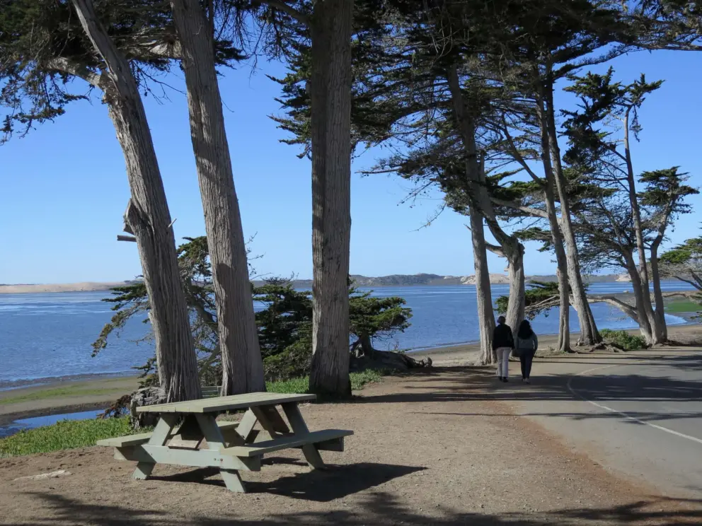 Blue estuary, as seen from El Moro Ave. 