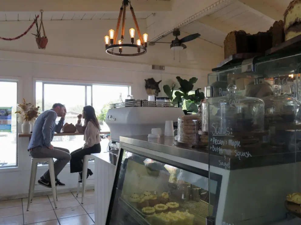 Sitting inside Wayward Bakery.