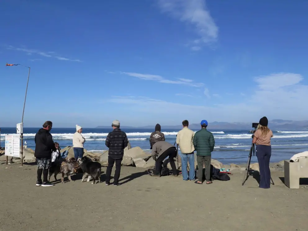 People gather to watch the SLO CAL Surf Contest at Morro Rock Beach in December 2024. 