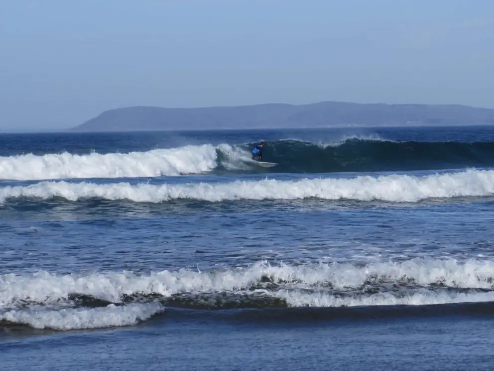 Surfer on a wave at the SLO CAL Surf Contest. 

