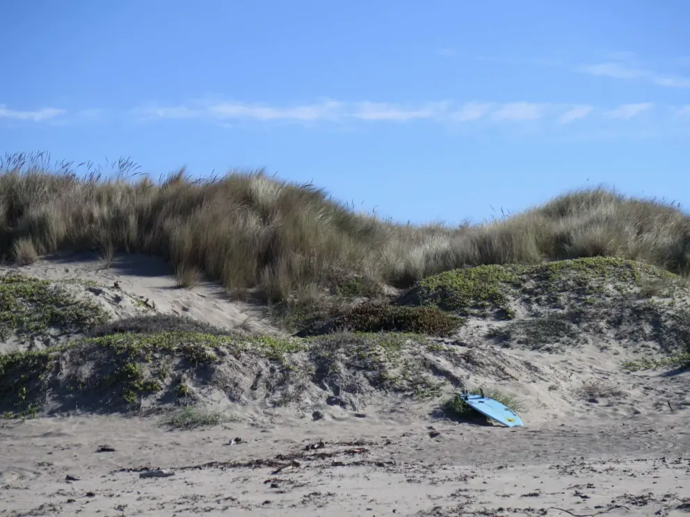 Surfboard on perfect dunes. 