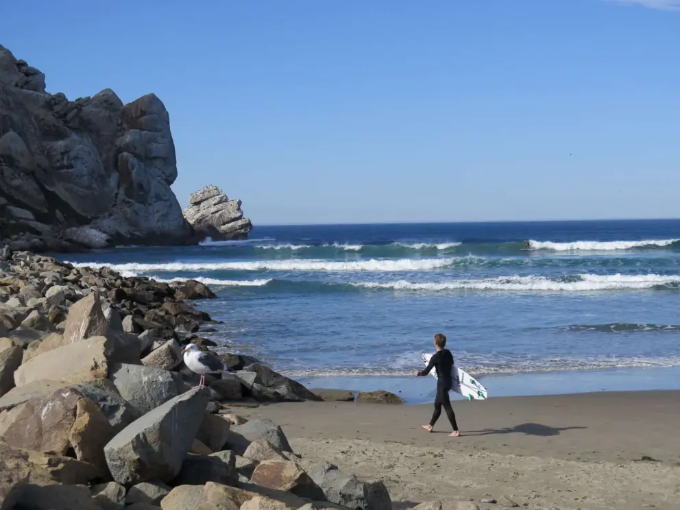 A surfer enters the water.