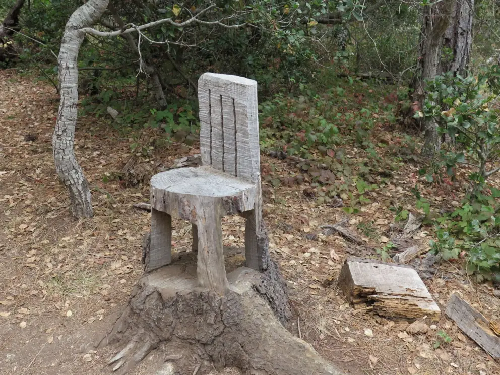 A child-sized chair carved into a tree stump. 