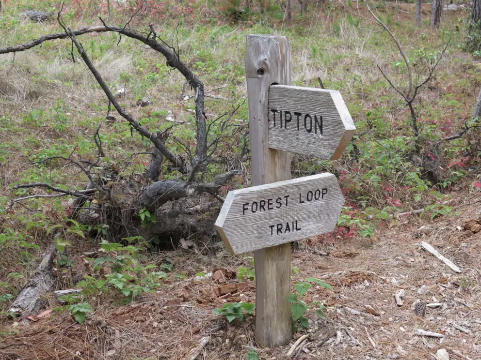 Forest Loop Trail sign and Tipton Entrance. 
