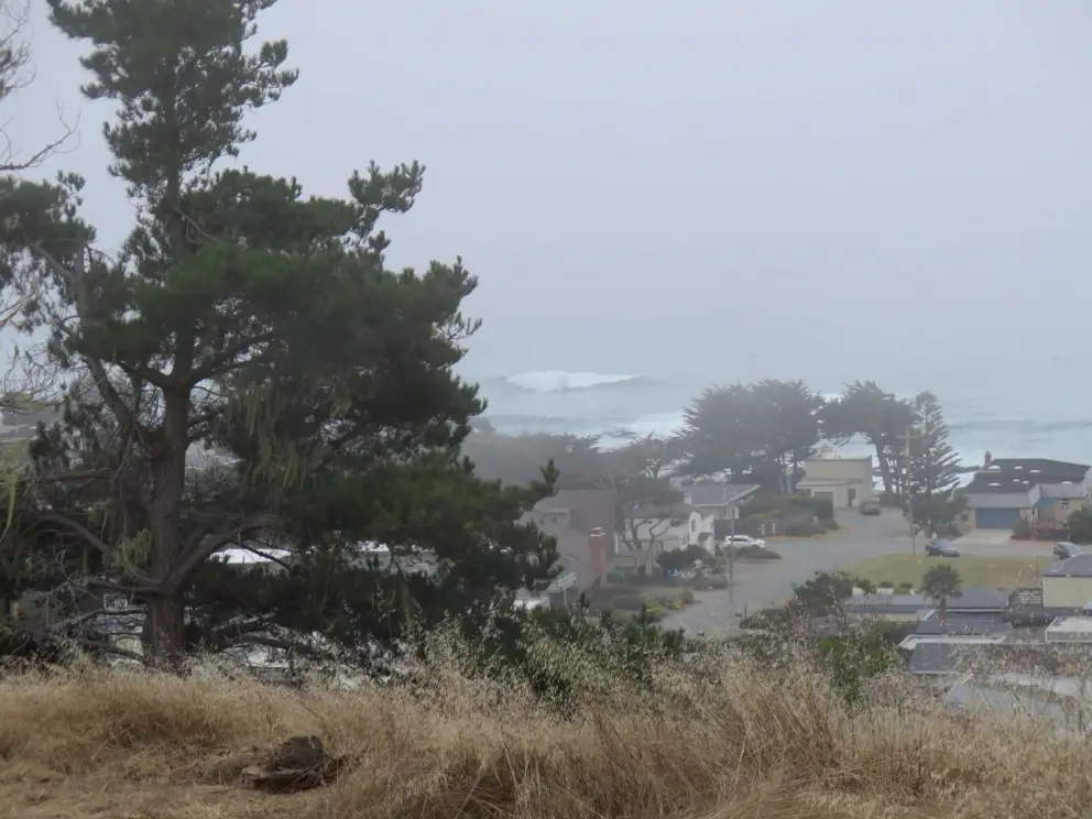 Looking down at the foggy coastline.
