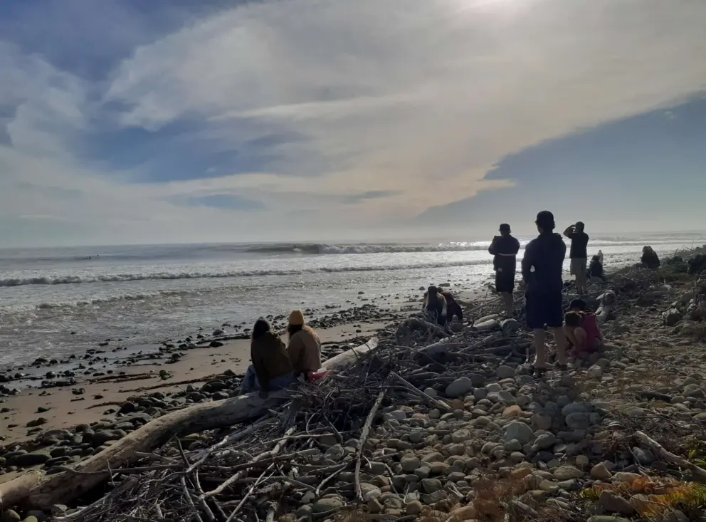 People gather to watch a huge swell at Rincon, in December 2024. 