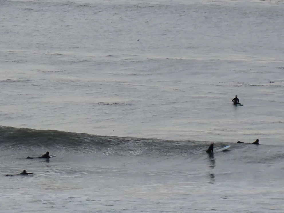 Surfers wait for a wave at Saint Ann's surf break. 
