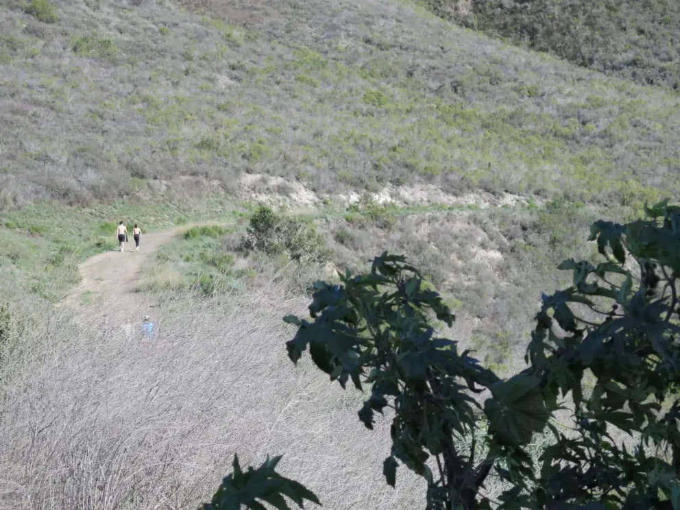 The abandoned road that leads from Smuggler's Cave back to Shell Beach Bluffs Trail. 