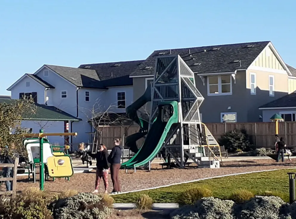 Parents and kids at the playground. 